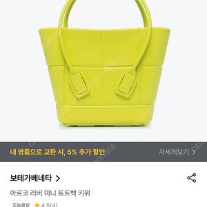 보테가 베네타 여성 아르코 러버 미니 토트백 (라임) Bottega Veneta 691194