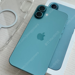 아이폰16Plus 512GB 카메라 무음 듀얼유심 ( 용인 )