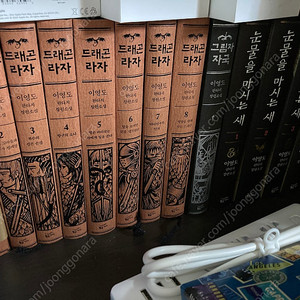 눈물을 마시는 새, 드래곤 라자, 그림자 자국