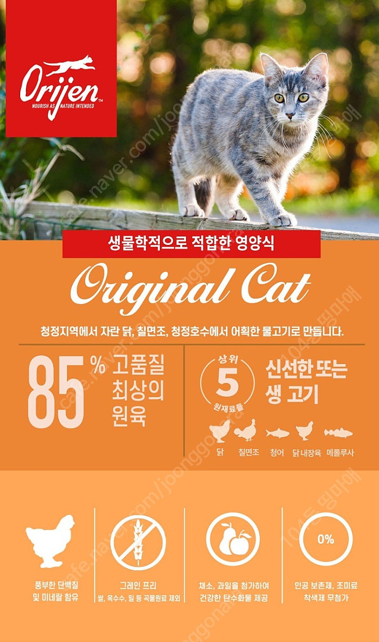 오리젠 고양이사료 종류별 가격 입니다. 이미지