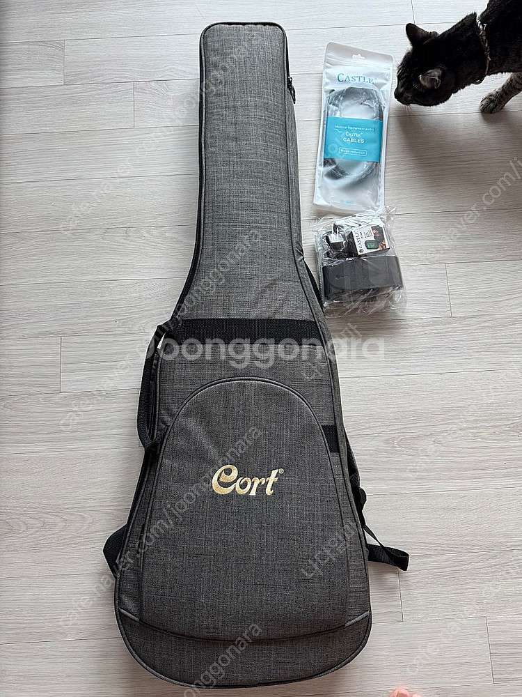 콜트 G110 일렉기타 새상품--0