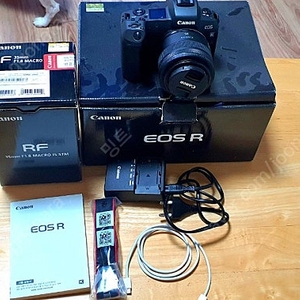 캐논 EOS R 카메라 + 35mm 렌즈