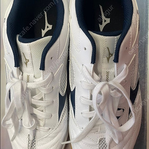 미즈노 웨이브 드라이브9 탁구화 270