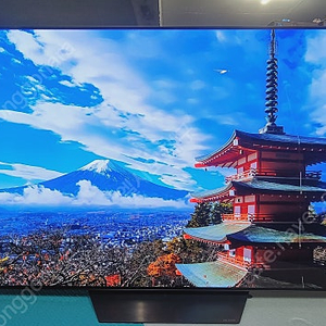 LG65인치 OLEDTV