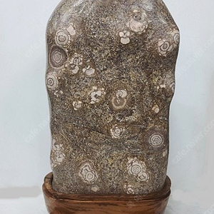 수석 (꽃돌)