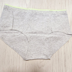 팬티