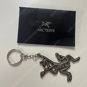 아크테릭스 키링