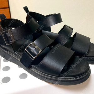 벨크로 스트랩 글래디에이터 키높이 샌들 280-285