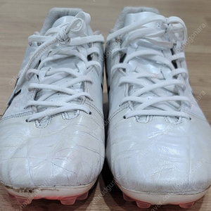 아식스 DS-light ag, 275판매