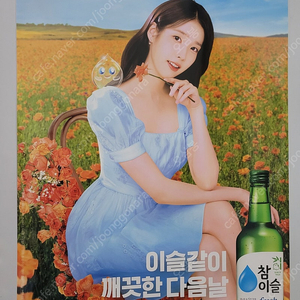 아이유 포스터 브로마이드 가로45 세로62 참이슬
