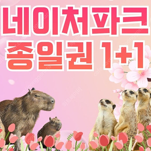 네이처파크 1+1=2인 종일권 판매