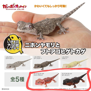 반다이 생물대도감 여러가지