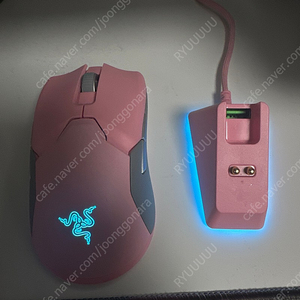 레이저 바이퍼 얼티메이트 쿼츠 핑크