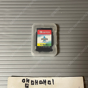 닌턴도 스위치 포켓몬스터 소드 익스팬션패스 합본 실물칩 중고