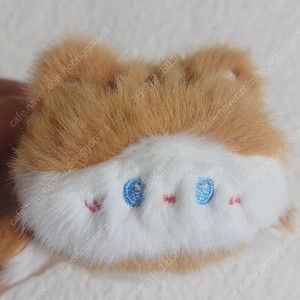 고양이&강아지 반전 봉제 인형 10cm