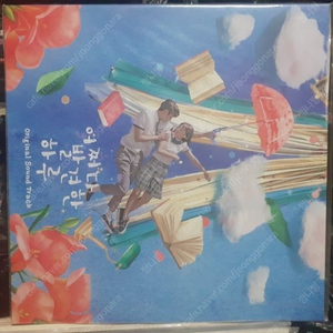어쩌다발견한하루 OST LP
