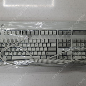 IBM Model M (1987년 생산 그레이 라벨) 키보드 USB 포트 개조된 것 판매합니다.