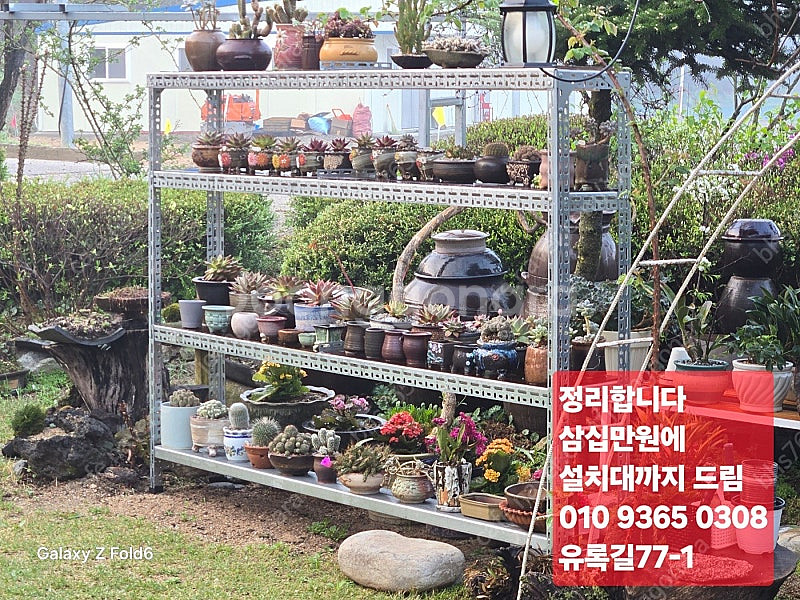 다육식물 일괄 판매합니다.--0