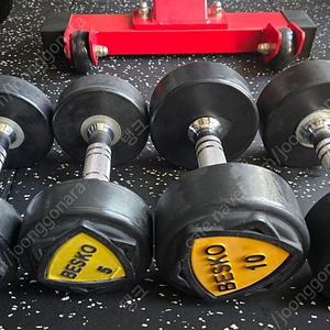 베스코 덤벨 5kg 10kg