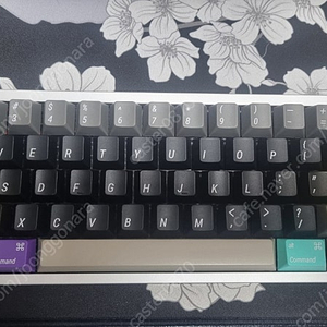 neo65cu