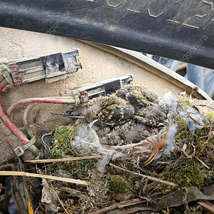 코벨코 SK30 2017년식 버켓3종 3톤급 미니 중고굴삭기 미니030