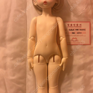 구체관절인형(카나리아)