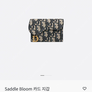 디올 오블리크 새들 카드지갑