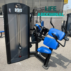 [중고] 라이프 업도미널 LIFE ABDOMINAL 복운동 복부운동 상체운동 외산웨이트 수입웨이트 수입운동기구 미국웨이트기구