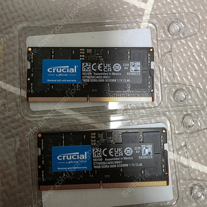 마이크론 Crucial DDR5 32GB (16GBx2개) RAM