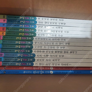 대교 경제콩나무 이야기지리 즐거운 탐구지식책 지식N사탐 역사고전 옛이야기