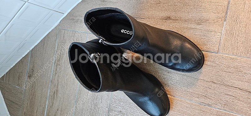 에코 ecco--2