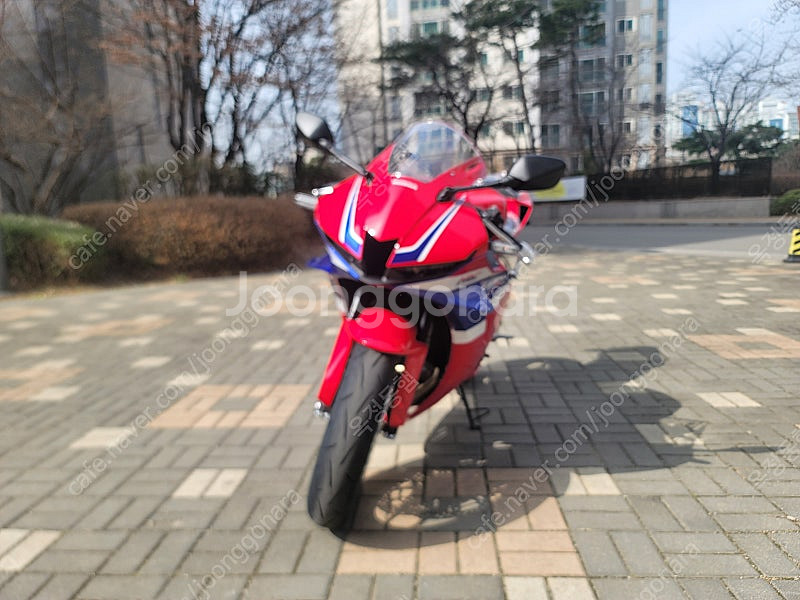 2025년 CBR600RR 신차 무주행 순정 서울 팝니...--0
