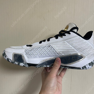조던 38 화이트골드메탈릭 DMP