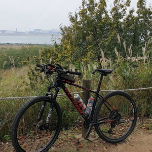 엘파마 페이스MTB 29인치 XT12단 XL싸이즈