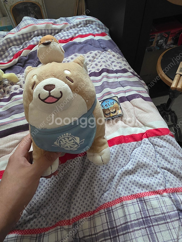 공룡 나르인형 및 포켓몬스터인형.--1