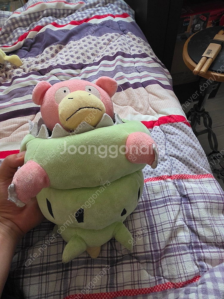 공룡 나르인형 및 포켓몬스터인형.--2
