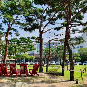 (5월-6월) 켄싱턴리조트 설악비치.설악밸리.경주 & 속초롯데리조트