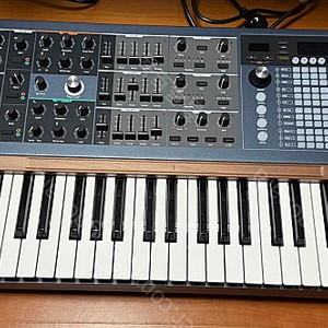 아투리아 폴리브루트 팝니다. Arturia Polybrute