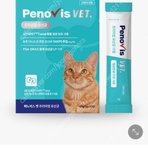 고양이 유산균 30포