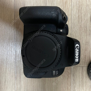 캐논 EOS 800D + 렌즈 3개