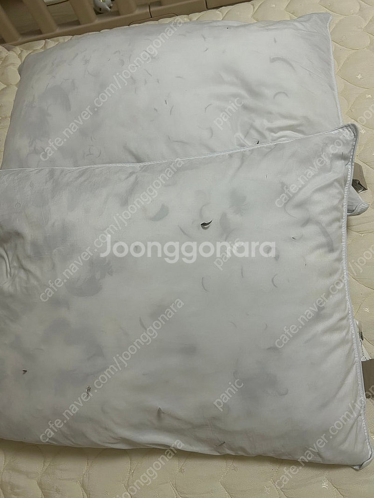 도아드림 구스베개 엘레나 패드--0