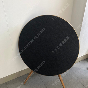 뱅앤올룹슨 B&O A9
