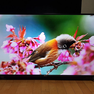 50인치 티비 모니터 UHD TV 4K 스탠드 거의 새제품