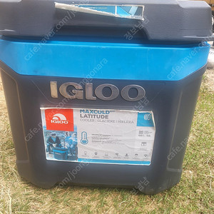Igloo 아이스박스 58l