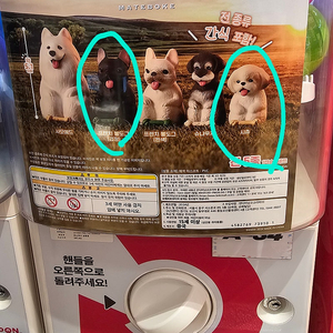 반다이 언제오려나 마치보케 시츄 프렌치 불독 강아지 멍멍이 피규어 가챠