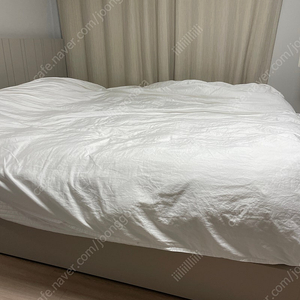 에이스 벨라 3