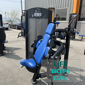 [중고] 라이프 바이셉컬 LIFE FITNESS BICEPS CURL 팔운동 이두운동 상체운동 외산웨이트 수입웨이트 수입운동기구 미국웨이트기구
