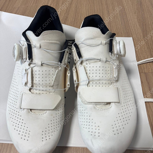 자이언트 Surge Comp 클릿슈즈 270mm