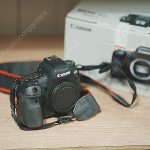 캐논 육두막 6dmark2, 새형아 70-200mm f4L II, 이사백오 24-105mm f4L II