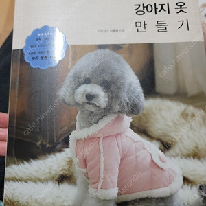 트렌디한 강아지 옷 만들기